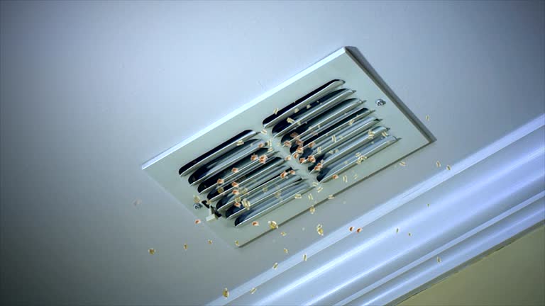 Best Emergency Air Duct Cleaning  in El Paso, IL