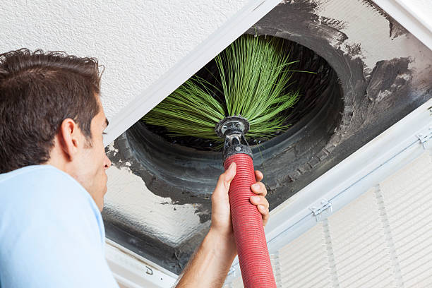 Best Affordable Duct Cleaning Services  in El Paso, IL