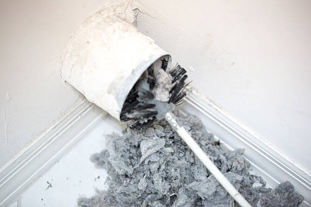 Best Affordable Duct Cleaning Services  in El Paso, IL